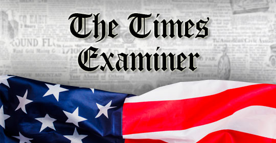 The Times Examiner Logo